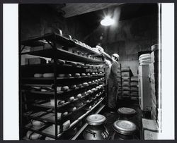 Trays of Sonoma Jack Cheese, Sonoma, California, 1972