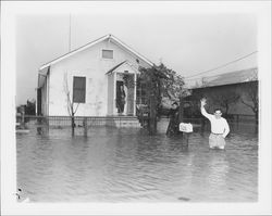 Cittadino residence in the flood, Petaluma, California, 1955