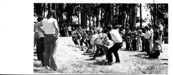 Tug of war at the Old Adobe Fiesta, Petaluma, California, about 1964