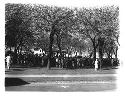 Crowd at a rally for Estes Kefauver, Petaluma, California, 1956