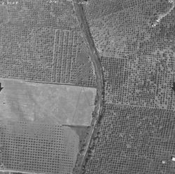 Orchards and Foss Creek west of Onorato Road--aerial views