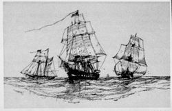 Three clipper-ships at sea, 1880