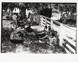 G.K. Hardt employee picnic, Santa Rosa, California, 1958