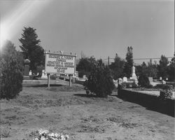 George C. Yount Cemetery and Ancient Indian Burial Grounds, Yountville, California, about 1955