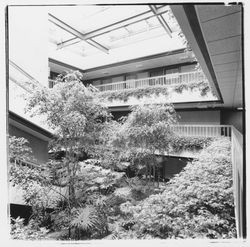 Interior court of medical building at 1111 Sonoma Avenue, Santa Rosa, California, 1982