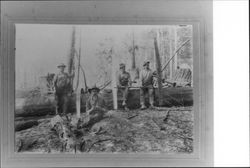 Log buckers in the woods