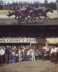 Photo finish and Winner's Circle for #4 horse "Jeffrey Lewis" at the Sonoma County Fair Racetrack, Santa Rosa, California