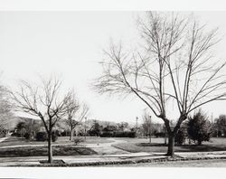 Wickersham Park, Petaluma, California, about 1954