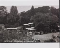 Cars parked outside of Ollie Bockee's home, Calistoga, California