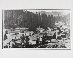 Looking southwest from near the French House in Guerneville