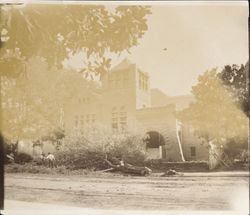 Cutting down trees at Fourth Street entrance to new Carnegie Library