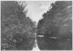 Sonoma Creek near Glen Ellen