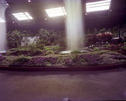 Unidentified exhibit at the Hall of Flowers at the Sonoma County Fair, Santa Rosa, California