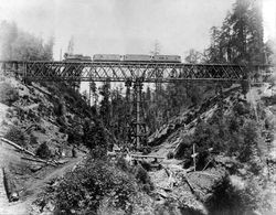 Train crossing Brown's Canyon trestle heading to Freestone, Occidental, California, 1903