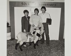 Lady's Lead Class Grand Champion lamb at the Sonoma County Fair, Santa Rosa, California, 1986