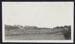 Burbank's experimental gardens in Sebastopol