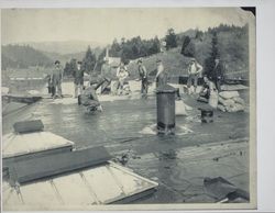 Tarring roof of the Guerneville Hotel, Guerneville, California, 1932