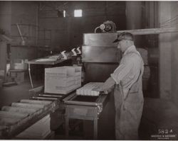 Boxing eggs at the Poultry Producers of Central California plant at 323 East Washington Street, Petaluma, California, in the 1950s