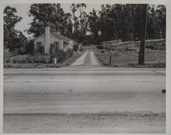 Highway 101 (Old Redwood Highway), south of Cotati, California, March 27, 1954