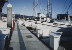 Dock at Spud Point Marina