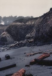 Beach scene near Bodega Bay