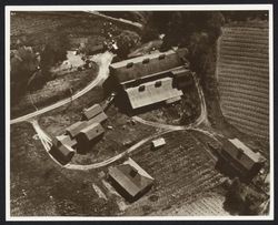 Aerial view of a Geyserville vineyard