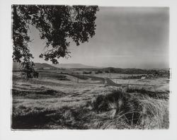 Rincon Valley view, Santa Rosa, California, 1962