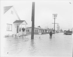 Flooding in Petaluma, California, 1958