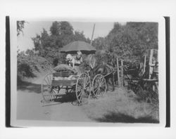 Schluckebier family with horse and buggy along the Russian River, Guerneville, California, about 1904