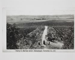 Henry S. Barnes Ranch with family members, Sebastopol, California, between 1891 and 1892