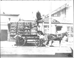 Z. Milani Poultry Company wagon full of chickens, Petaluma, California, about 1920