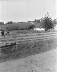 Remains of Roblar Gold Mine and surrounding area., Petaluma, California, 1967