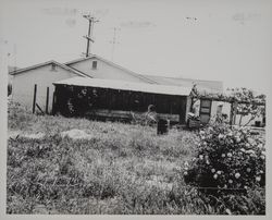 Hillview Grocery, Sonoma, California, May 1, 1958