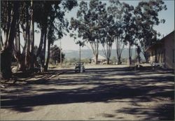 Sonoma Depot