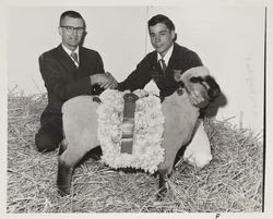 Ray Hagemann and his FFA Champion lamb at the Sonoma County Fair, Santa Rosa, California