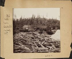 Abandoned Meeker Sawmill