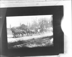 Views of Jack and Charmian London in their Studebaker wagon on their way to Oregon, June 12-September 5, 1911