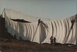 Tying the fabric of Christo's Running Fence to poles and securing it with hooks, Petaluma, California, September, 1976