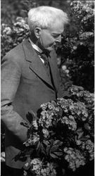 Luther Burbank with rhododendrons in his garden, about 1924