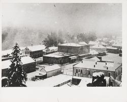 Guerneville in the snow