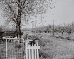 Bellevue District of Santa Rosa, California, 1952