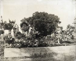 Grave of John Robert Mailer