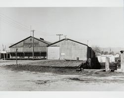 Steamer "Gold" landing on the Petaluma River, Petaluma, California, about 1954