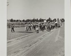 Band marches on Farmers' Day at the Sonoma County Fair, Santa Rosa, California, 1986