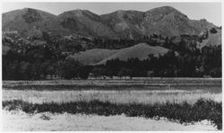 Mount Saint Helena from Franz Valley, 1960s or 1970s