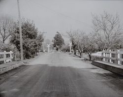 Bellevue District of Santa Rosa, California, 1952