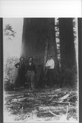 Three loggers at Sugar Loaf Logging Show of July 27, 1914