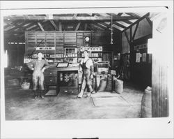 Unidentified feed store, Petaluma, California, about 1900