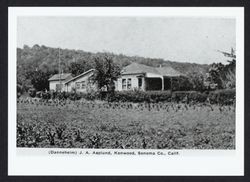 Danneheim, J. A. Asplund, Kenwood, Sonoma Co., California