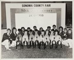 FFA sheep exhibitors at the Sonoma County Fair, Santa Rosa, California, 1986